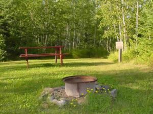 site6