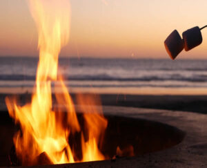 campfire-wood-600
