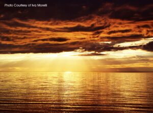Amazing Sunsets!