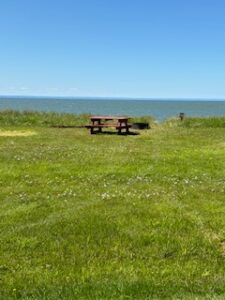 Rustic-Lakeside-5