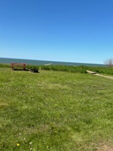 Rustic-Lakeside-6