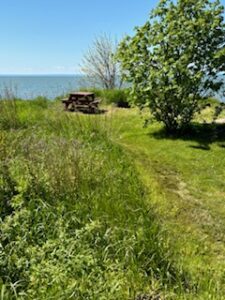 Rustic-Lakeside-7